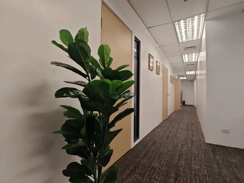 Corridor leading to private office suites